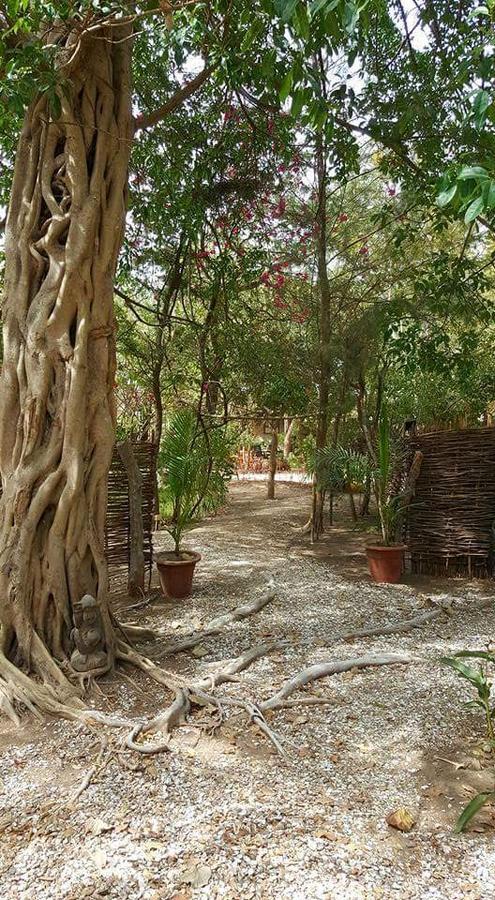 Evergreen Eco Lodge Retreat Tujereng Luaran gambar